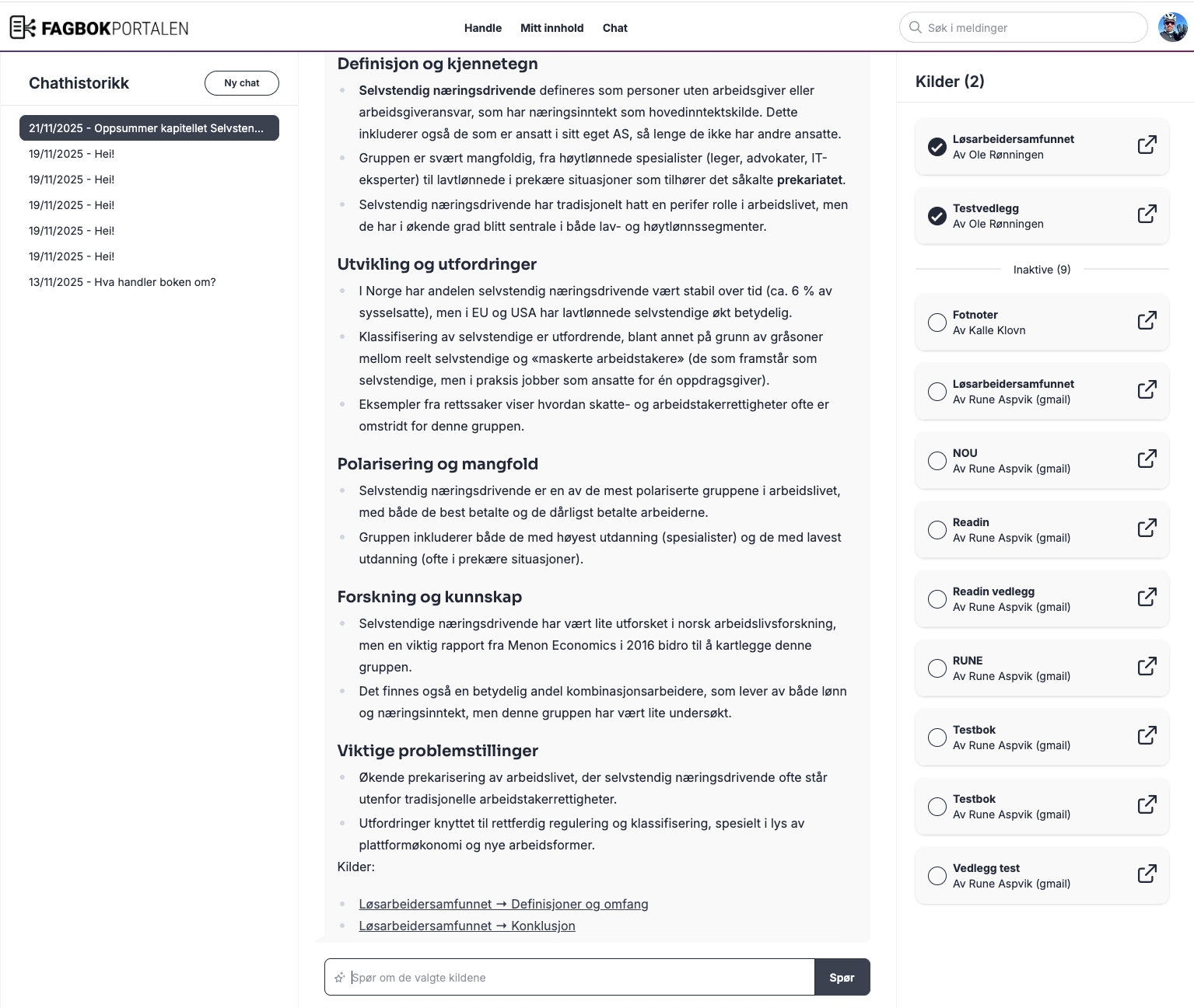 Skjermbilde av KI-chatten